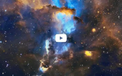 Årets sökningar på Google